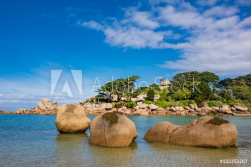 Picture of Rosa Granitkste in der Bretagne bei Ploumanach Frankreich
